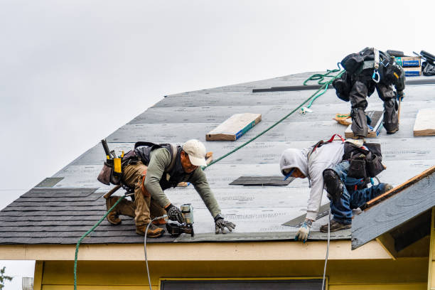 Professional Roofing technician working in New York Mills, MN